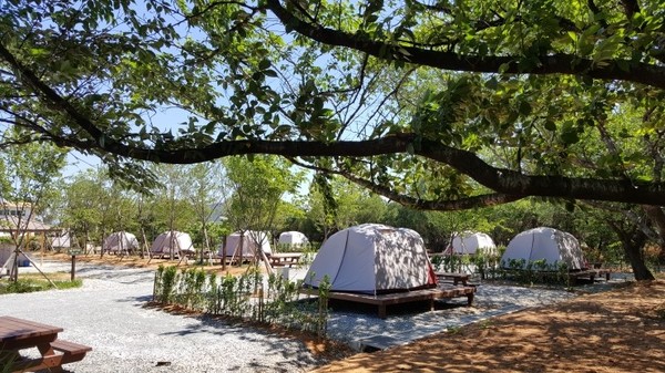 ▲장성 안평초 폐교를 활용한 캠핑장 ⓒ전남도교육청