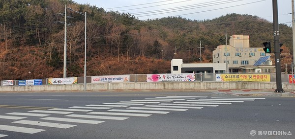 화양면 도롯가에 내걸린 명절 인사 불법 현수막. (사진=마재일 기자)