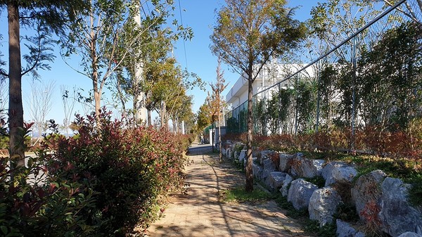 ▲여수산단로에 조성된 미세먼지 차단숲