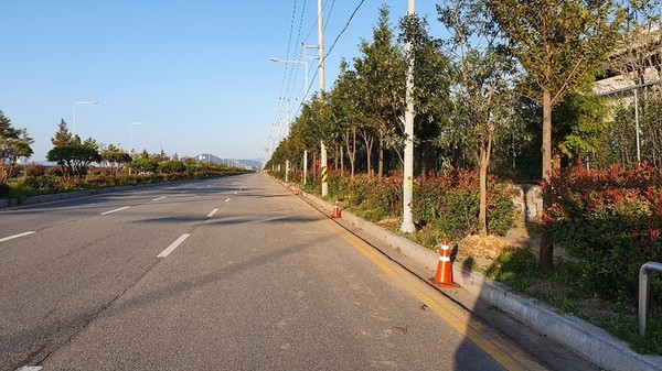 ▲여수산단로에 조성된 미세먼지 차단숲