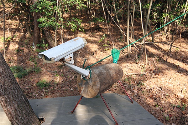 ▲그리스 신화에서 지하세계를 입구를 지키는 지옥의 신 하데스의 개를 상징적으로 나타낸 작품으로 불신의 시대를 살고있는 현대인을 상징한다고 한다. "세상이 개판이라며 양심이 배밖으로 나왔다는 걸 형상화한 작품"이란다  ⓒ오문수  