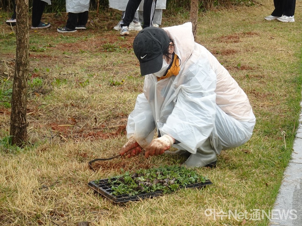 모종은 심은 후 땅을 꾹꾹 눌러줘야하며 너무 촘촘하게 심어도 안된다