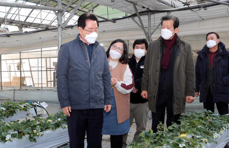 김 지사가 보성군 조성면 청년여성농업인 사업현장인 싱싱농원을 방문했다. 청년농업인이 운영하는 이곳은 시설하우스에서 생산한 딸기, 토마토를 가공해 판매하고 체험 등을 연계해 부가가치를 창출하고 있다