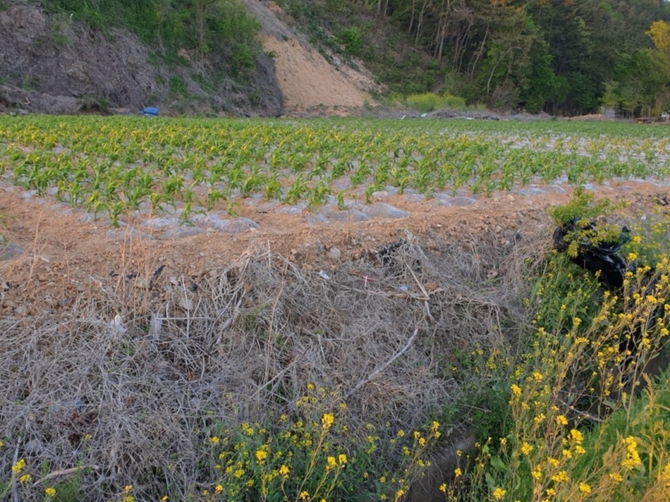 ▲ 배수로에 걸려 있는 검정 폐비닐 조각  ⓒ정병진