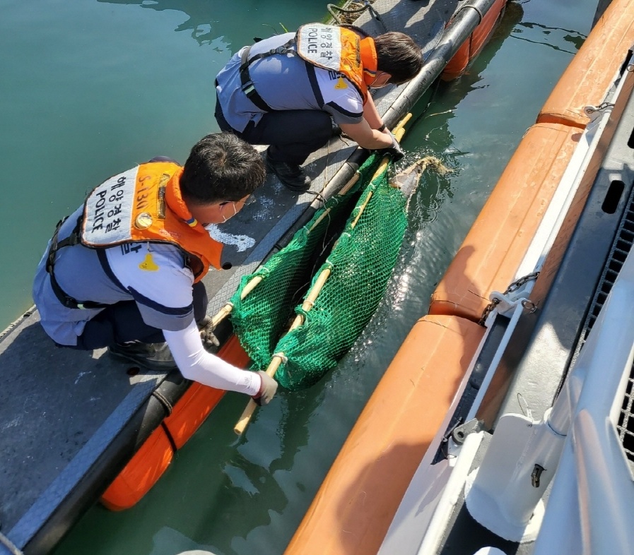 ▲여수해경이 해상에서 표류하는 상괭이사체를 처리하고 있다
