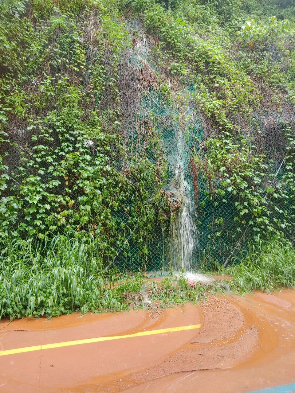 ▲ 벽 절개지를 타고 내리는 빗물 ⓒ한창진