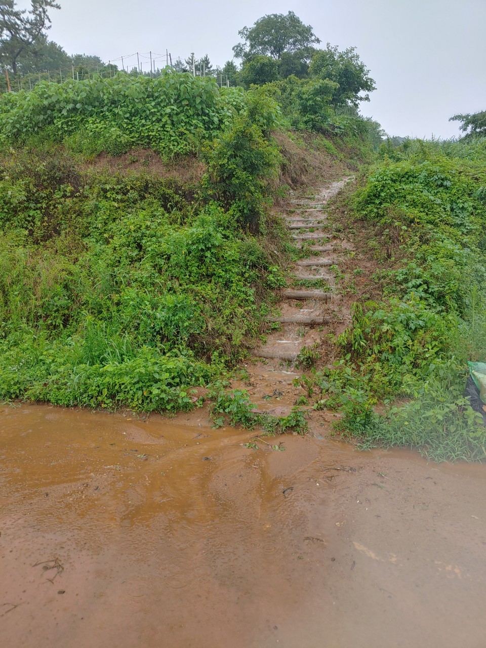 ▲산자락에서 쏟아진 토사물로 도로가 엉망이 되었다  ⓒ한창진