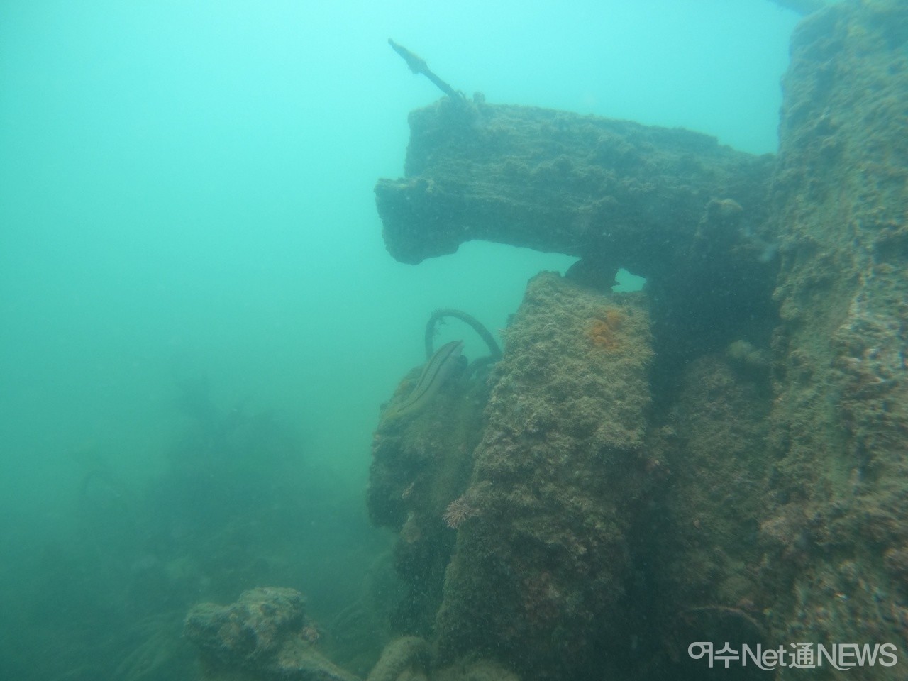 이야포 해안에 방치되고 있는 피난선 잔해로 추정되는 침몰선의 모습 ⓒ박근호 대장