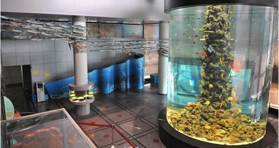 ▲전남해양수산과학원