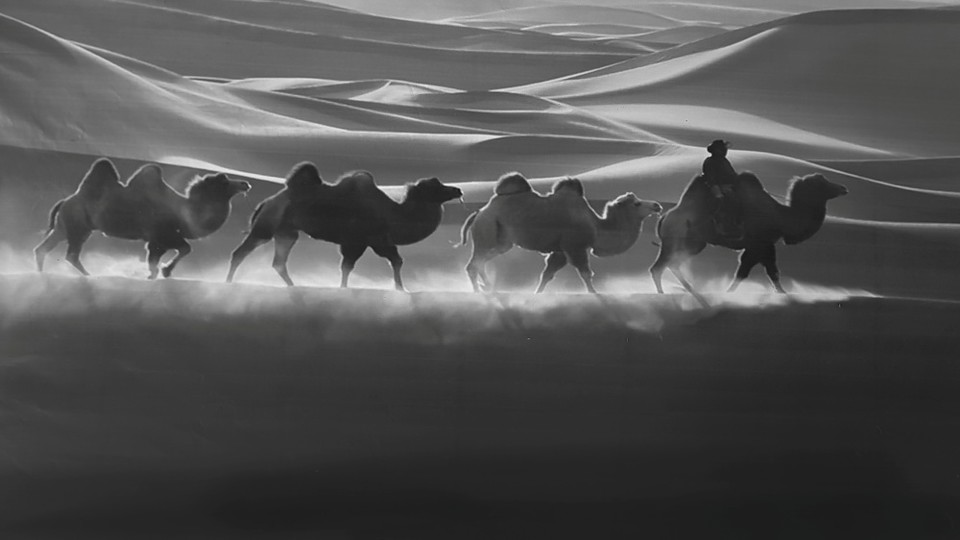 ▲박정명, 행렬 (75x40cm, 캔버스에 오일)