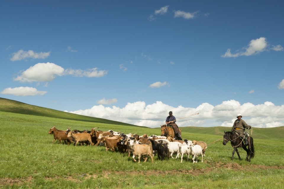 ▲이근수, 목자(60x40cm, 사진)