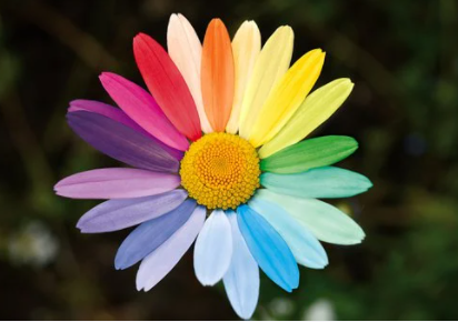 성격장애가 얼마나 많은 문제를 일으키는지, 전문가의 상담으로 해결할 수 있다