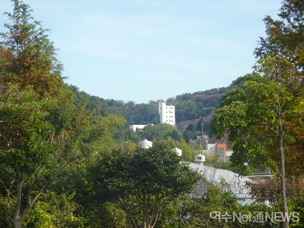 ▲일제강점기 해군 202부대가 주둔한 구봉산 산능성이