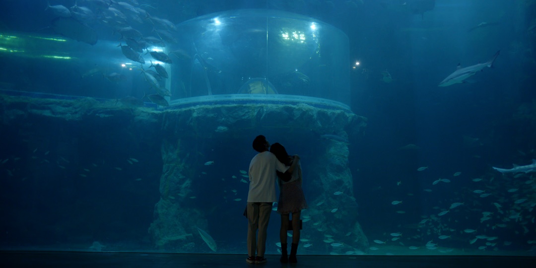 ▲ 아쿠아플라넷 여수 전경이다.