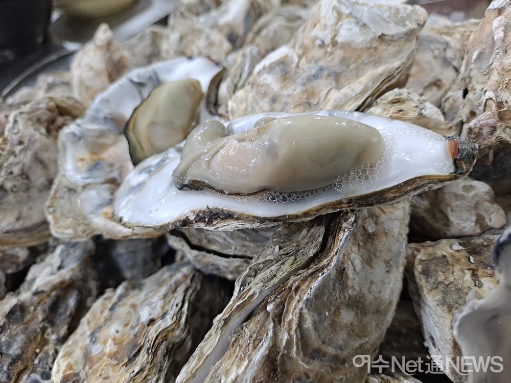 ▲사랑의 묘약 굴구이다. 직화로 구워 그 풍미가 일품이다. ⓒ조찬현