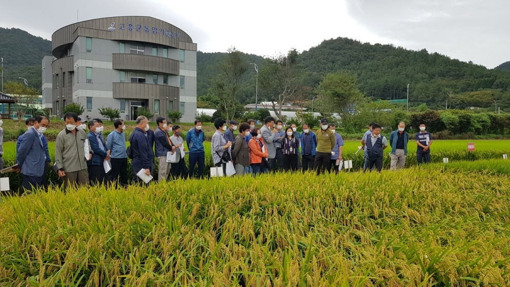 ▲지난 9월 고흥에서 열린 2021 벼농사 종합평가회 모습