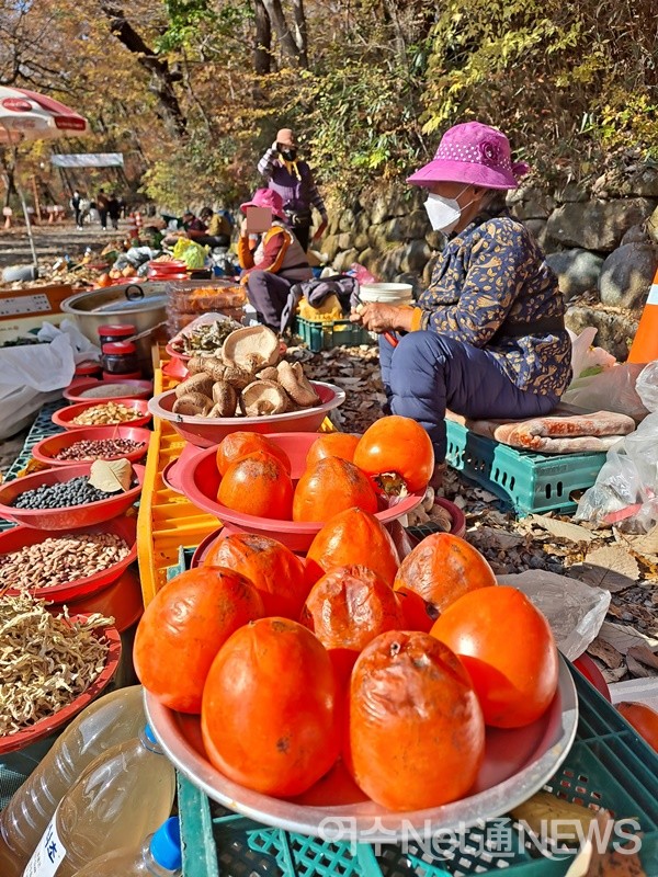 ▲할머니의 좌판에는 감 홍시가 익어간다. ⓒ조찬현