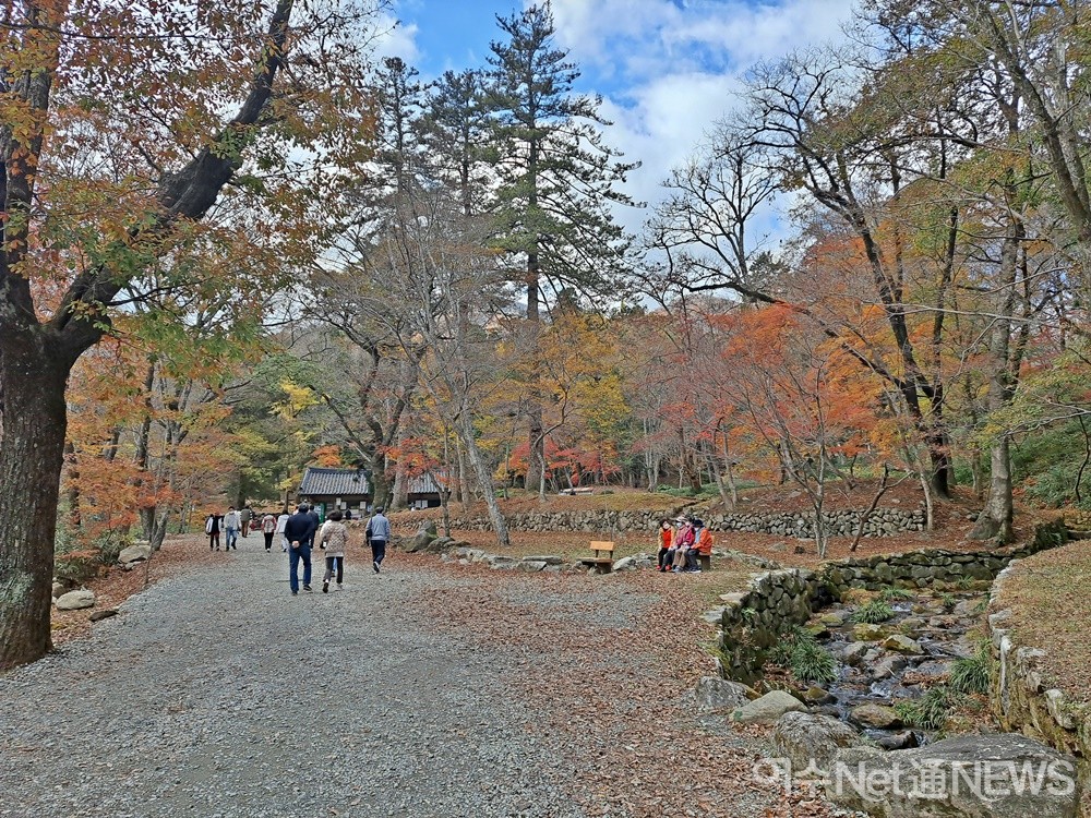 ▲순천 선암사 가는 길은 그냥 걷고픈 아름다운 길이다.  ⓒ조찬현