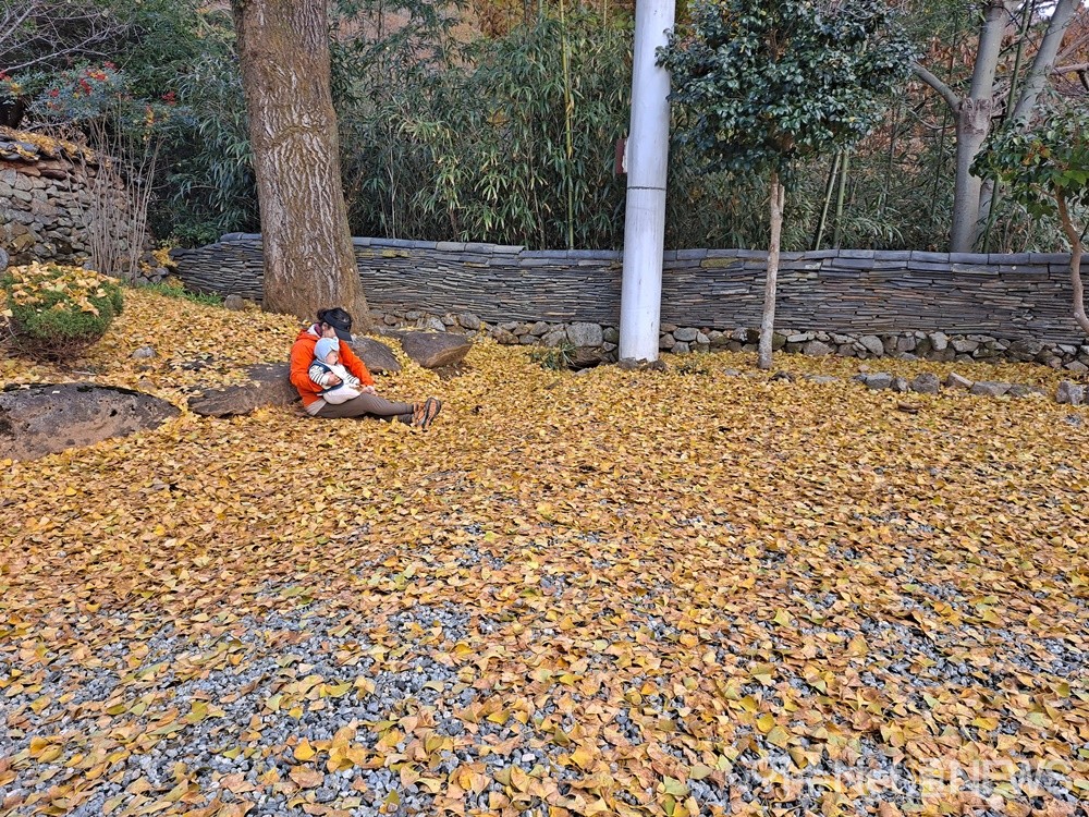 ▲한 아주머니가 어린아이와 함께 은행잎 방석에 앉아 가을을 만끽하고 있다. ⓒ조찬현