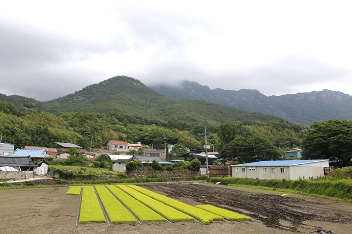 ▲전남도 유기농생태마을 해남 계곡 방춘마을