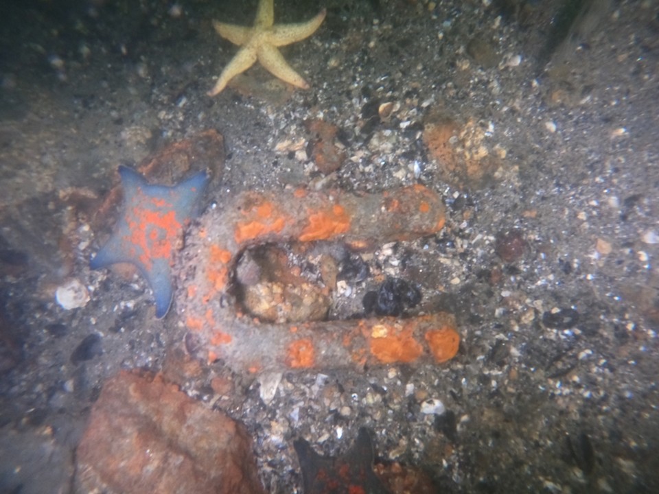 ▲수중촬영한 여수산단 앞바다  ⓒ박근호