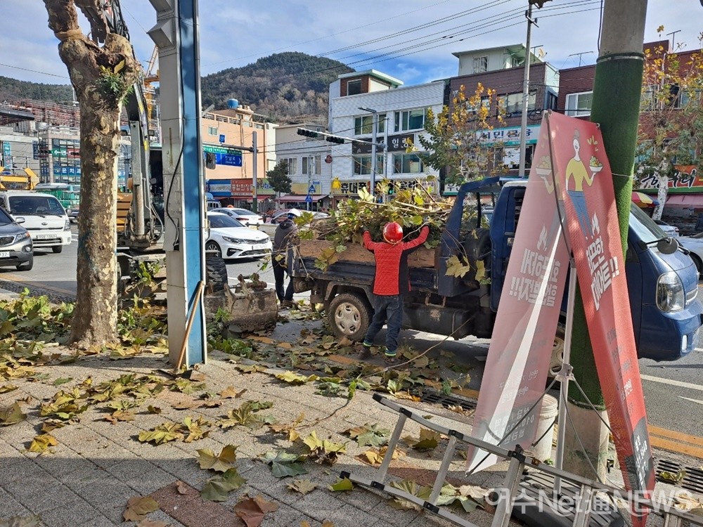 ▲ 전기톱으로 자른 가로수를 화물차에 싣고 있다. ⓒ조찬현