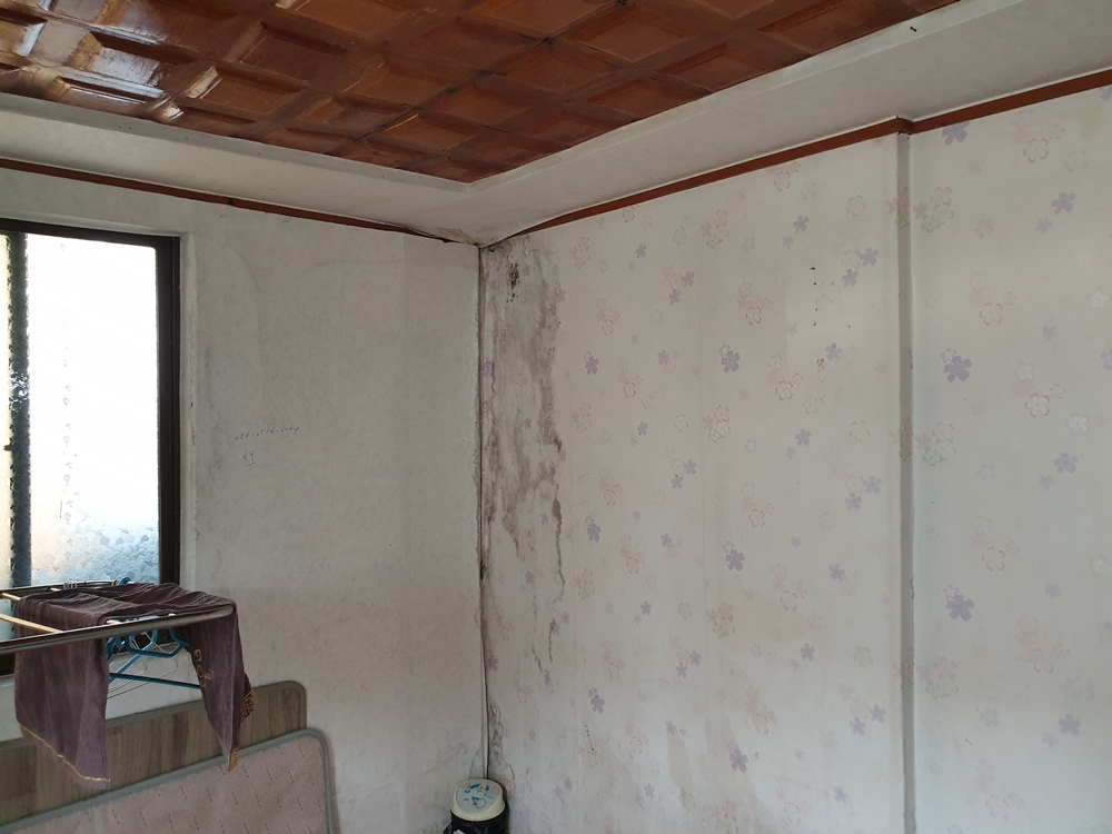 ▲옥상방수 등의 곰팡이가 핀 시각장애인의 집안