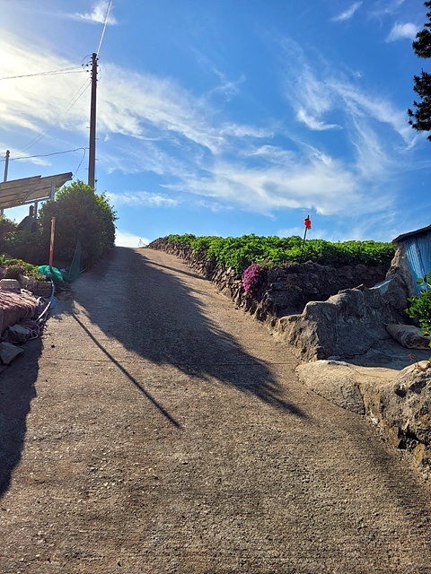 ▲ 해풍맞고 자란 방풍밭 너머에는 남해바다의 파도가 넘실댄다. 장미연씨는 이 언덕을 넘나들며 문학인의 꿈을 키웠다. ⓒ장미연