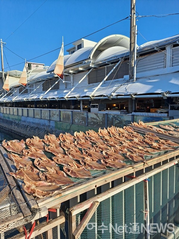 ▲겨울 햇살에 생선을 꼬들꼬들 말리고 있다. ⓒ조찬현