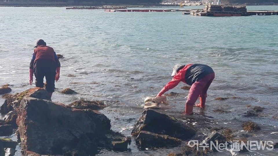 ▲해산물을 채취하는 안도 주민들. ⓒ김성수