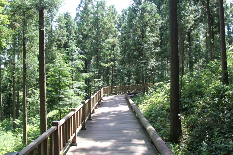 ▲보성 제암산 무장애데크로드