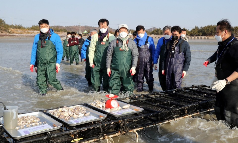 21일 신안군 자은면 면전해변에 위치한 테이블식 친환경 개체굴 양식장을 방문, 양식 경과보고 청취 및 현장을 둘러보며 고부가가치 양식산업화와 안정적인 생산기반 구축 방안 등을 논의했다.