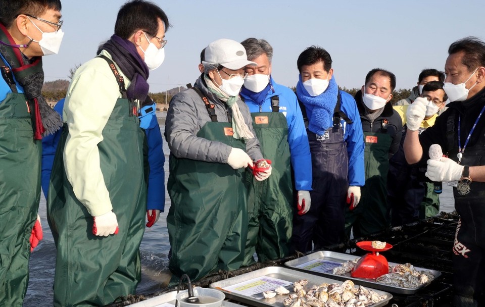 전남도는 21일 신안군 자은면 면전해변에 위치한 테이블식 친환경 개체굴 양식장을 방문, 양식 경과보고 청취 및 현장을 둘러보며 고부가가치 양식산업화와 안정적인 생산기반 구축 방안 등을 논의했다.