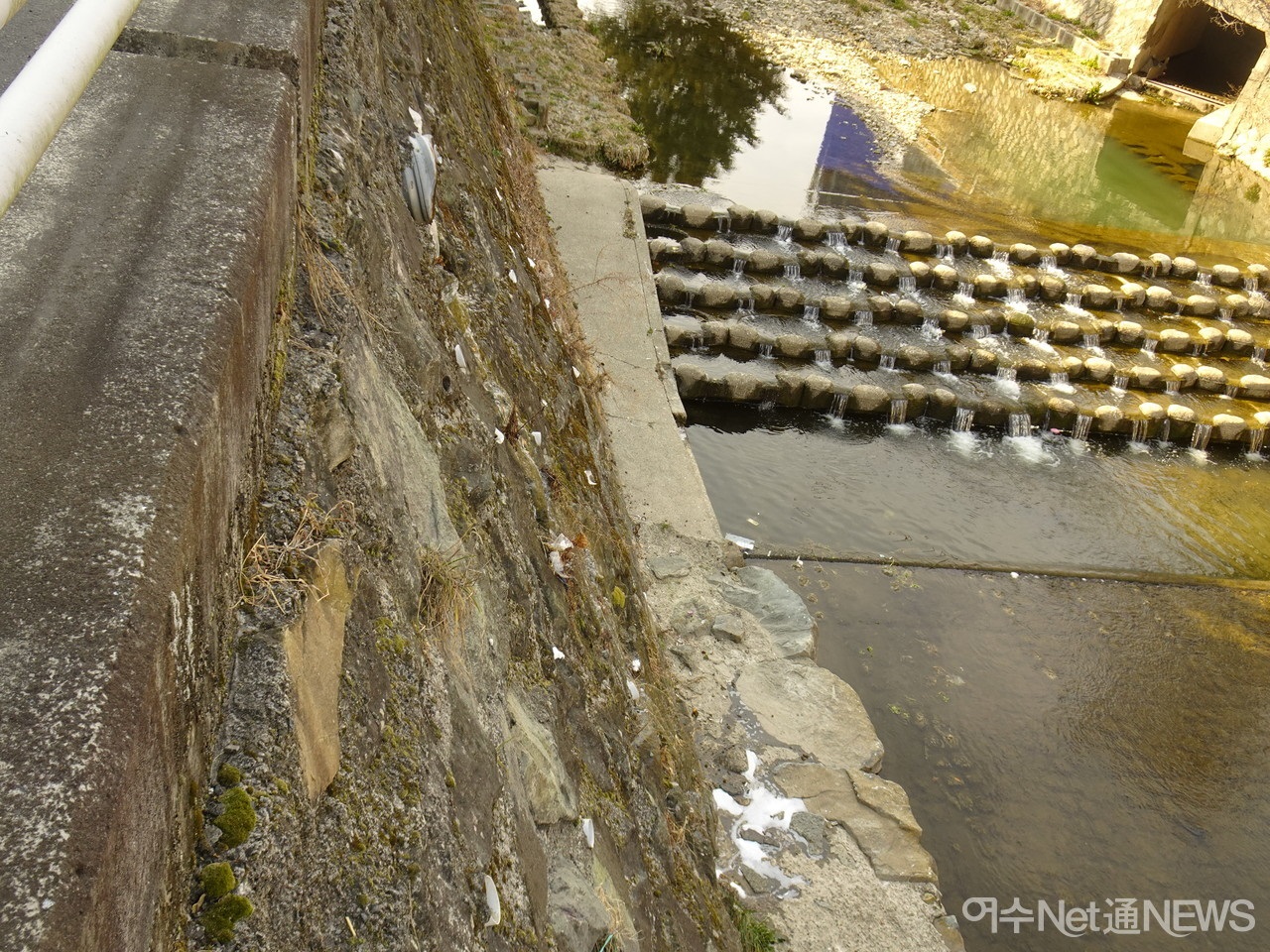 ▲ 오림동 연등천으로 통하는 하수구에서 폐수가 흘러나오고 있다. 근처 가게에서 배출되는 것으로 추정된다고 한 참여자가 말했다. 물이 떨어진 바닥에는 하얗게 거품이 일었다