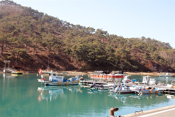 ▲사도마을 앞 건너편에 개구리 닮은 섬 