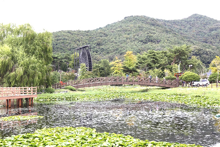 ▲ 영광 불갑사 초임에 있는 영광 불갑생태공원과 체험휴양마을인 상사화피는마을’