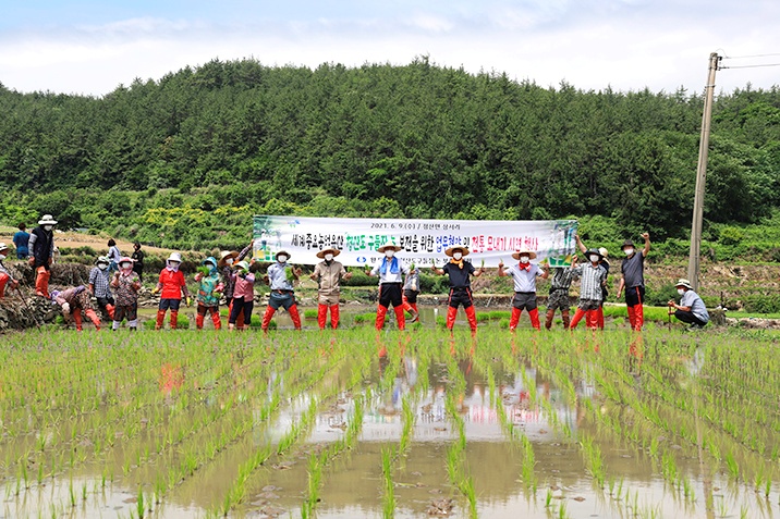 ▲완도 구들장논