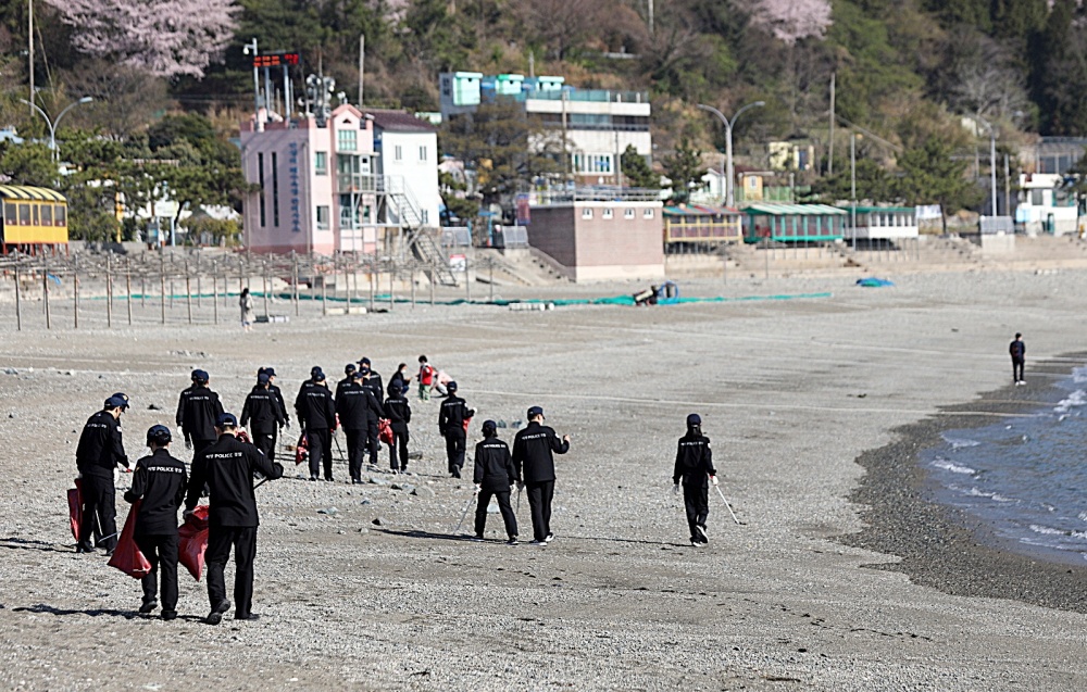 ▲연안정화활동 모습