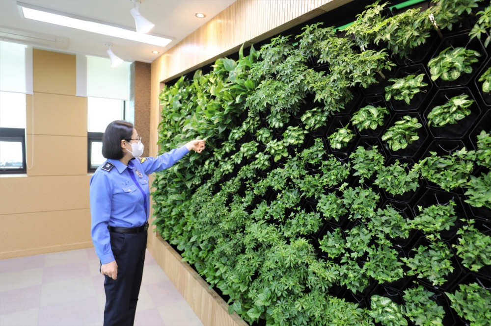 ▲ 한 교직원이 스마트가든을 둘러보고 있다.