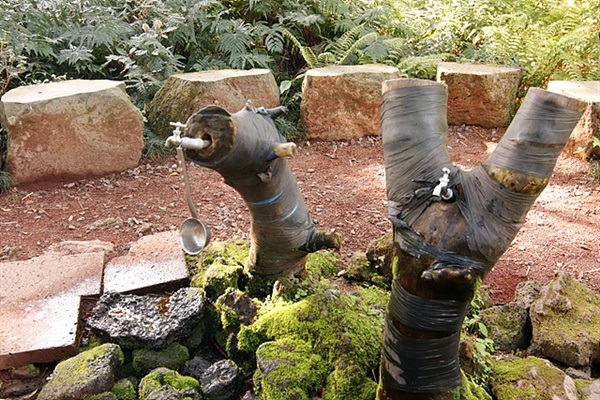 ▲비자나무 우물터. 귀한 대접을 받은 비자나무는 옛날에 숲을 지키는 산감이 이곳에 상주하면서 먹울 물로 사용했다고 한다.  ⓒ오문수