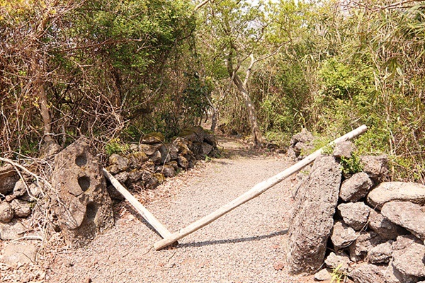 ▲ 제주도 민가에는 마을에서 집안으로 들어가는 길목인 올레가 있다. 올레 양 어귀에는 구멍이 뚫려있는 나무기둥이나 돌기둥을 세워놓았다. 나무로 되어 있는 것을 정주목, 돌로 되어있는 것을 정주석이라 불렀다. 정주석에는 1~5개의 구멍이 뚫려있고 이 구멍에 걸쳐 놓는 나무 막대기를 정낭이라고 부른다. 정주석에는 경계표시, 소와 말의 출입방지, 주인이 있고 없음을 알리는 수단 등의 기능이 있다. ⓒ 오문수