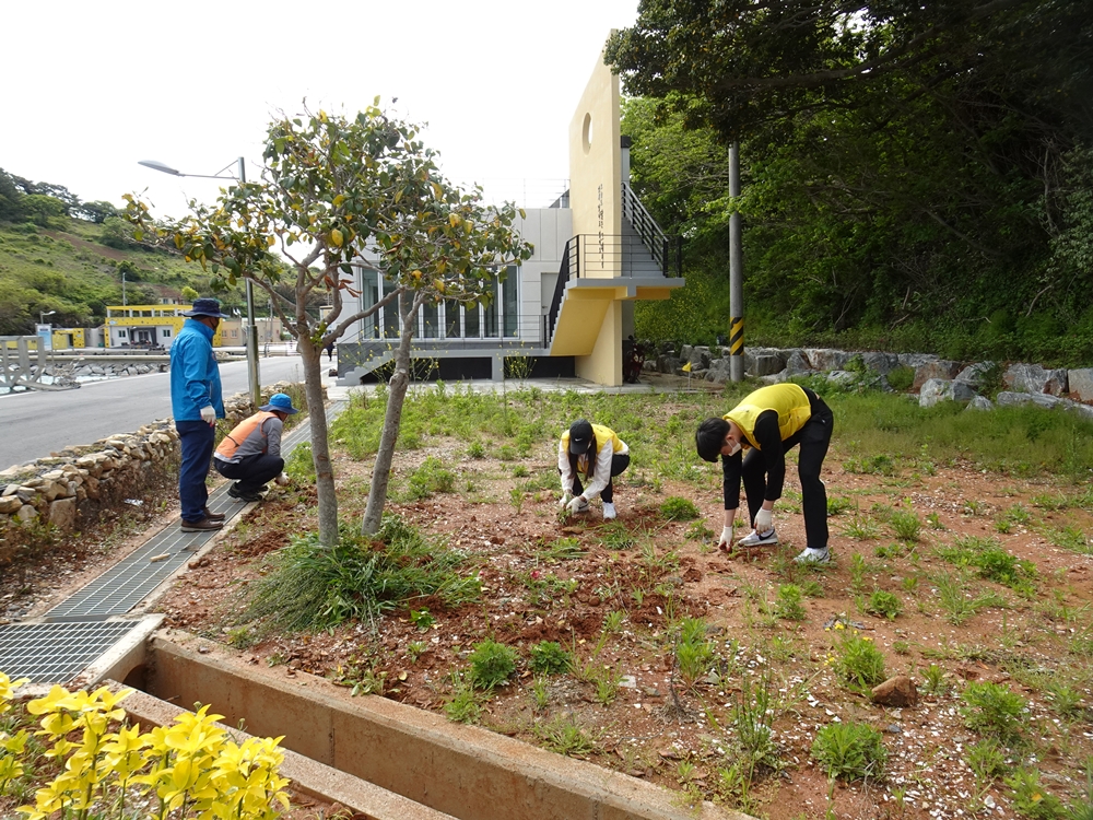 ▲ 공터에 꽃을 심기 전 잡초를 제거하고 있다.