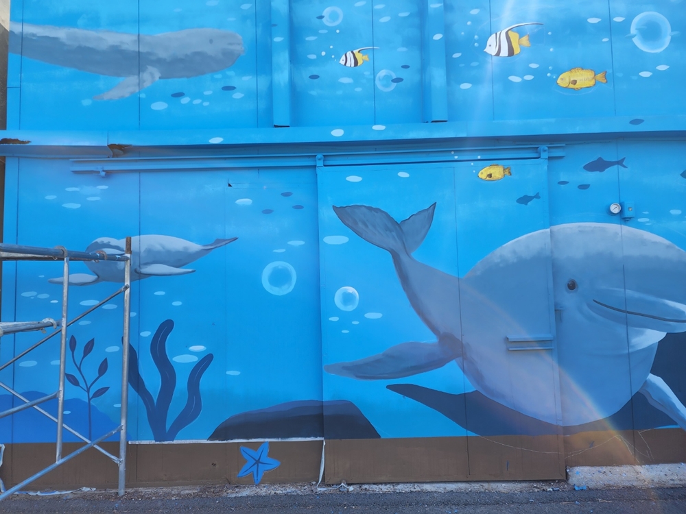 ▲ 월호도 상괭이벽화  ⓒ박근호