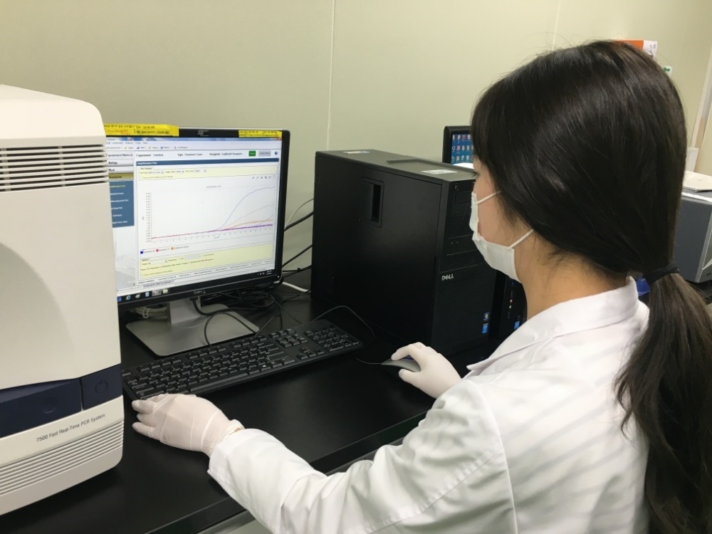 ▲ 전라남도보건환경연구원 노로바이러스 감염 환자 검사