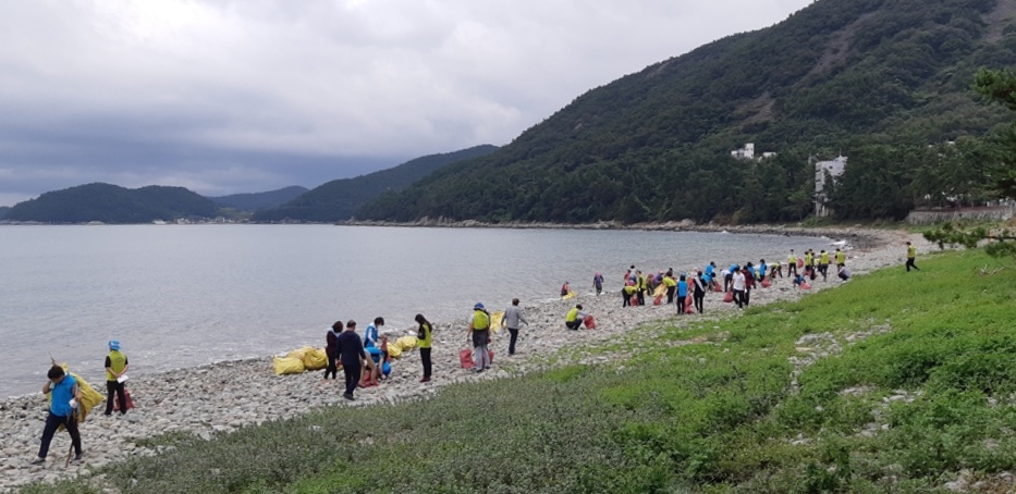 ▲  연안정화활동 현장