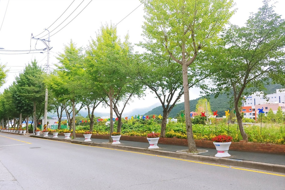 ▲ 미평동 행정복지센터 앞 가로화단에 설치된 희망 바람개비