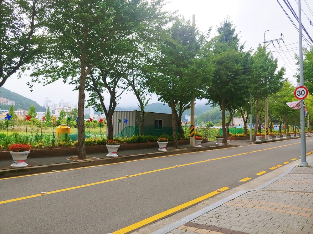 ▲ 미평동 행정복지센터 앞 가로화단에 설치된 희망 바람개비