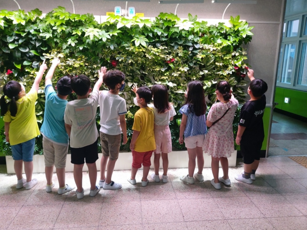▲ 양지초등학교와 안산중학교에 설치된 바이오월(수직정원)