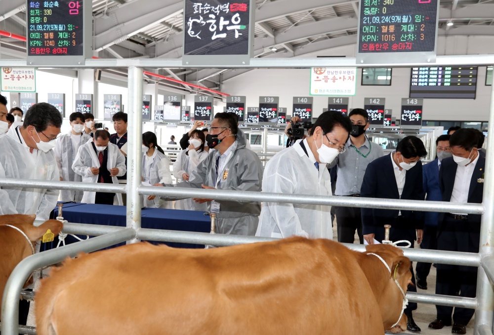▲ 15일 화순축협 스마트가축시장 준공식