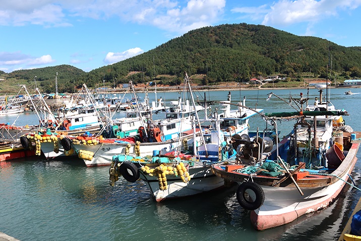 ▲고흥 사양도 포구 